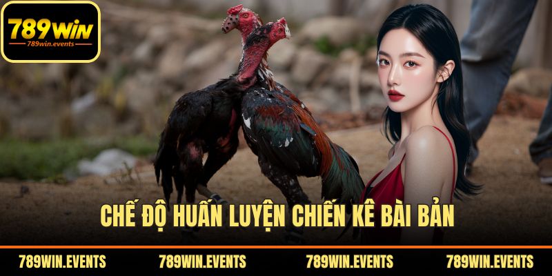 Chế độ huấn luyện chiến kê bài bản