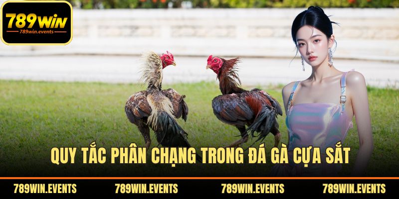 Quy tắc phân chạng trong đá gà cựa sắt