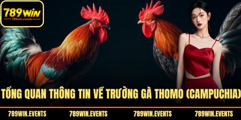 Tổng quan thông tin về Trường Gà Thomo (Campuchia)